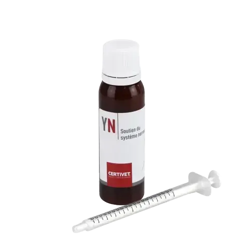 YSONIS NEURO - Image 4