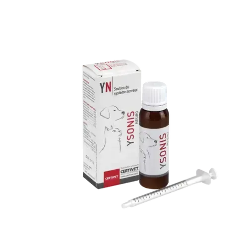 YSONIS NEURO - Image 3