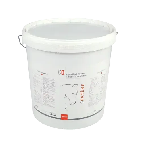 CORTENE - Image 2