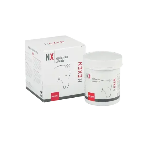 NEXEN NEXEN - Image 5