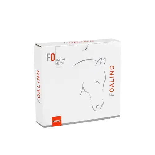 FOALING FOALING - Image 2