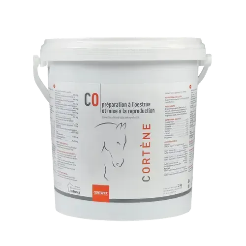 CORTENE - Image 3