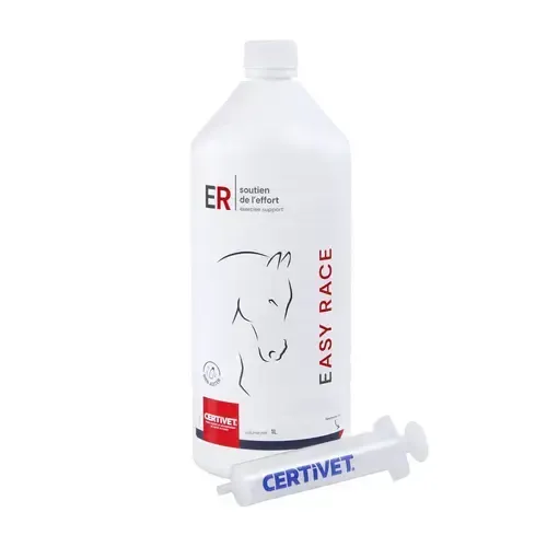 EASY RACE - Image 2