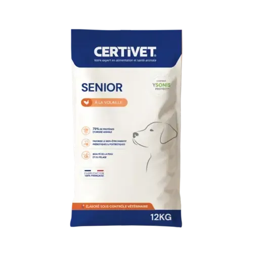 Chien senior - Image 2