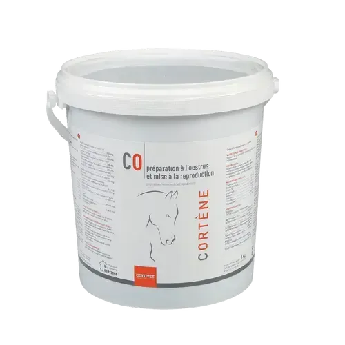 CORTENE - Image 1