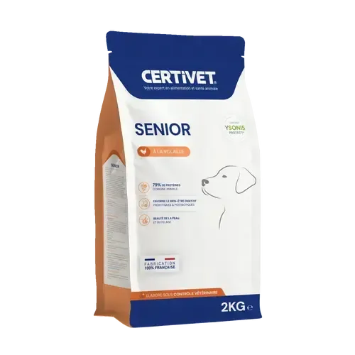 Chien senior - Image 1