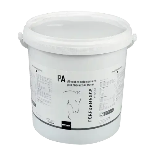PERFORMANCE ATHLETIC - Image 2