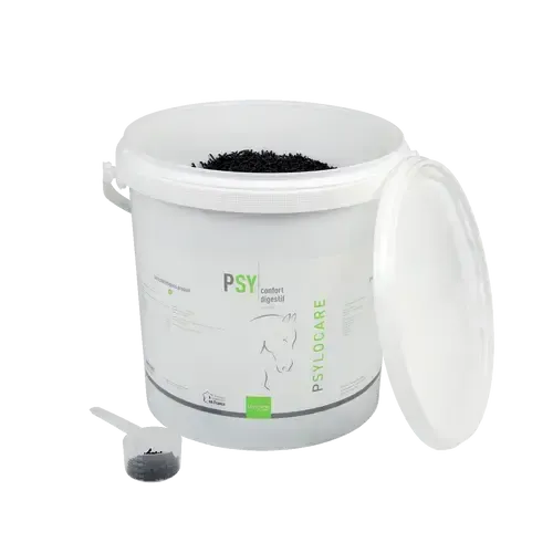 PSYLOCARE - Image 2