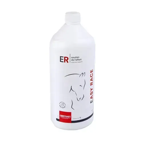 EASY RACE - Image 3