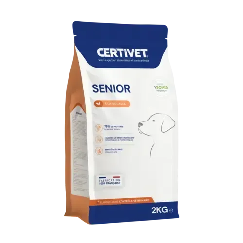 Chien senior - Image 2