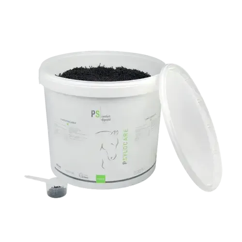 PSYLOCARE - Image 2