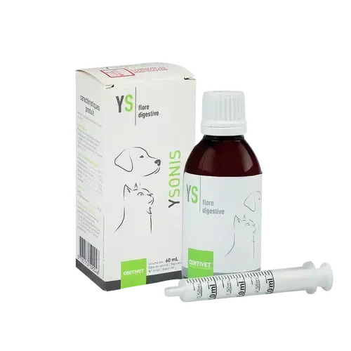 YSONIS PROTECT - Image 5