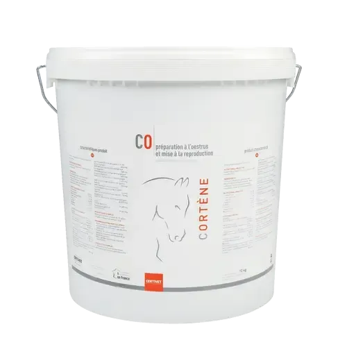 CORTENE - Image 3