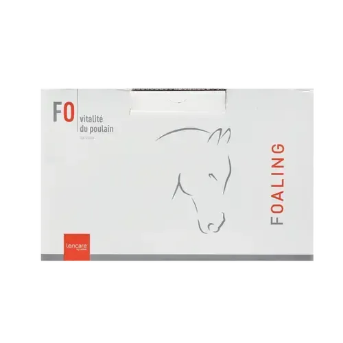 FOALING FOALING - Image 3