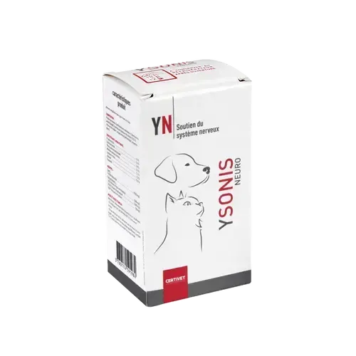 YSONIS NEURO YSONIS NEURO - Image 2