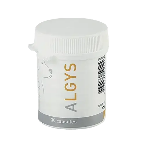 ALGYS - Image 2