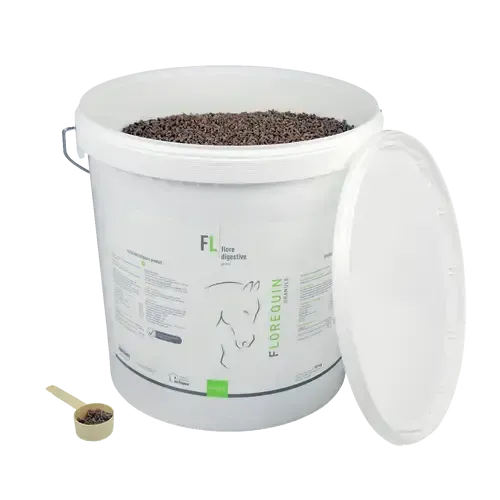 FLOREQUIN GRANULE FLOREQUIN GRANULE - Image 4