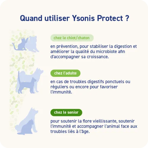 YSONIS PROTECT - Image 4