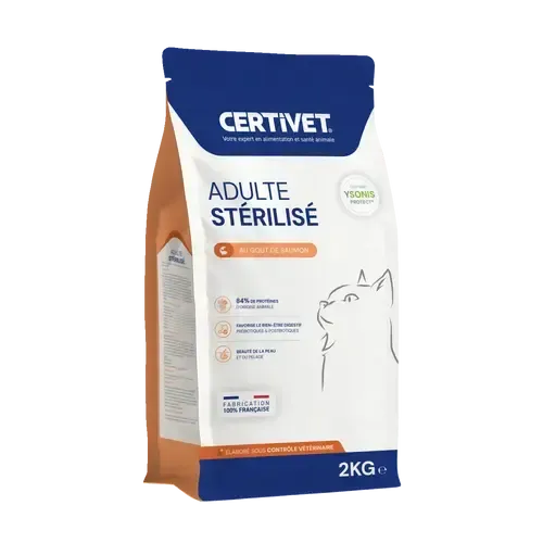 Chat adulte stérilisé - Image 1
