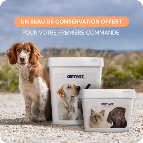 Chien adulte - moyenne et grande race Chien adulte - moyenne et grande race - Image 3