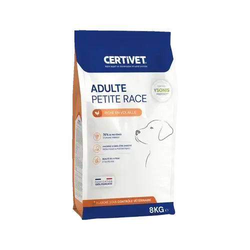 Chien adulte - petite race - Image 2