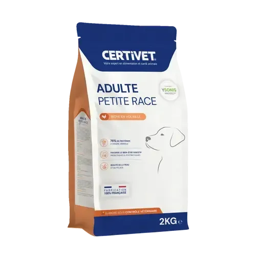 Chien adulte - petite race - Image 1