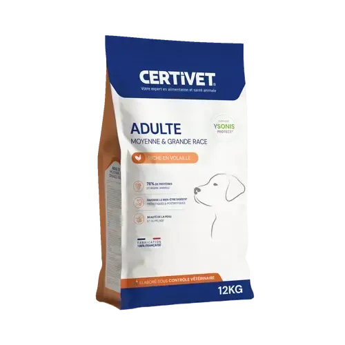 Chien adulte - moyenne et grande race Chien adulte - moyenne et grande race - Image 1