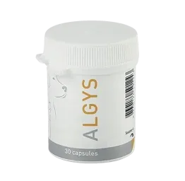 ALGYS