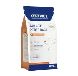 Chien adulte - petite race