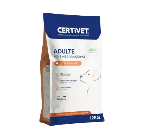 Chien adulte - moyenne et grande race