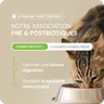 Chien adulte - moyenne et grande race - Miniature 2
