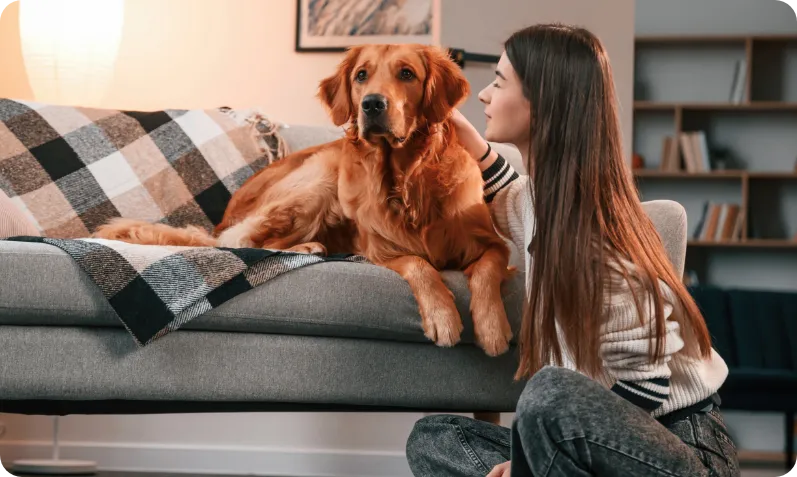 Morbi vel scelerisque nunc curabitur porta