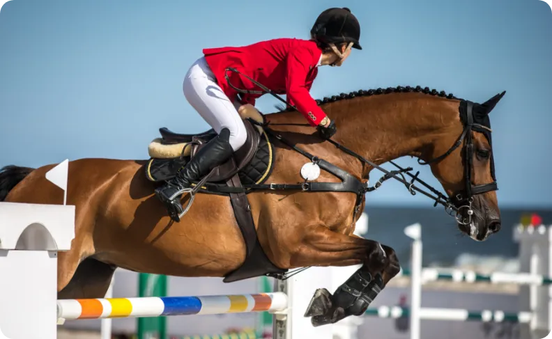 Cavalière sautant un obstacle avec son cheval lors d'une compétition équestre