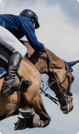 L'astuce Maline Pour Votre Cheval