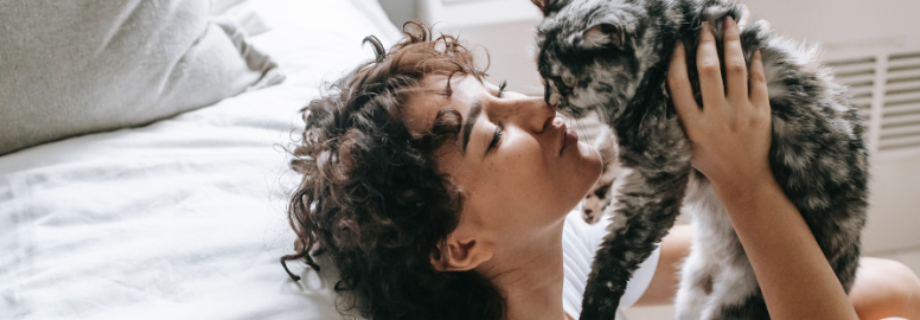 Conseils et astuces pour prévenir le surpoids et l’obésité chez les chats stérilisés