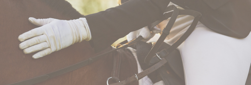 Nervosité chez le cheval : mieux la connaître pour mieux la gérer