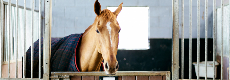 Contaminations croisées et dopage : les bonnes pratiques