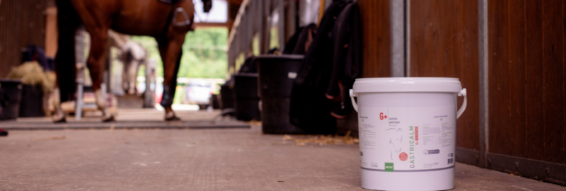 Comment choisir un complément alimentaire pour son cheval ? Questions à se poser et points à vérifier