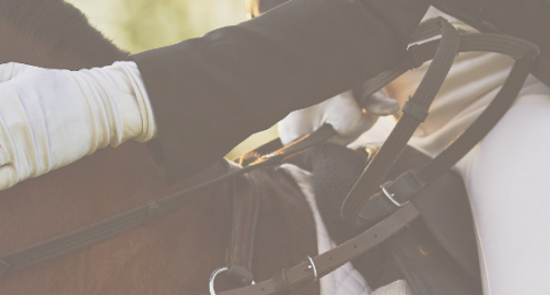 Nervosité chez le cheval : mieux la connaître pour mieux la gérer