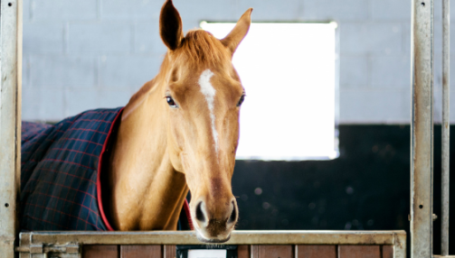Contaminations croisées et dopage : les bonnes pratiques