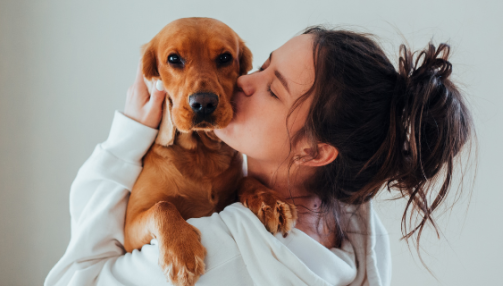 Prévenir et soulager les douleurs articulaires du chien