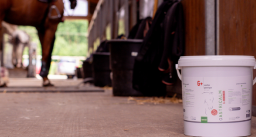 Comment choisir un complément alimentaire pour son cheval ? Questions à se poser et points à vérifier